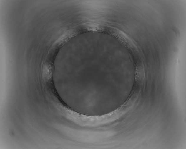 X0000112000043200908031238