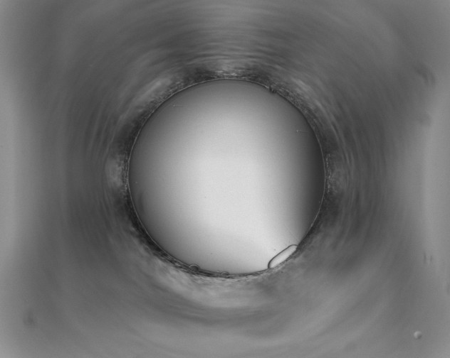 X0000112000044200908031238