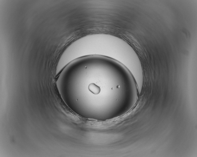 X0000112000045200908031238