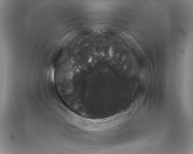 X0000112000046200908031237