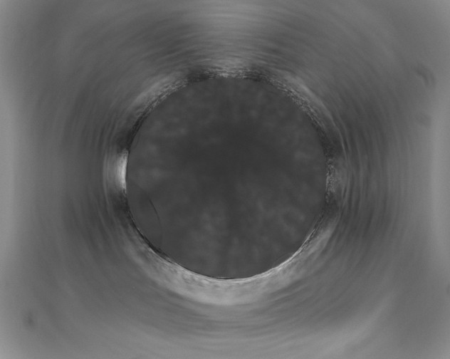 X0000112000047200908031237