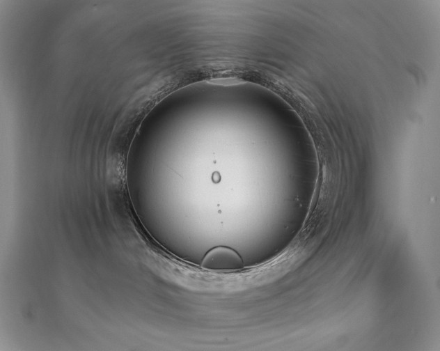 X0000112000048200908031237