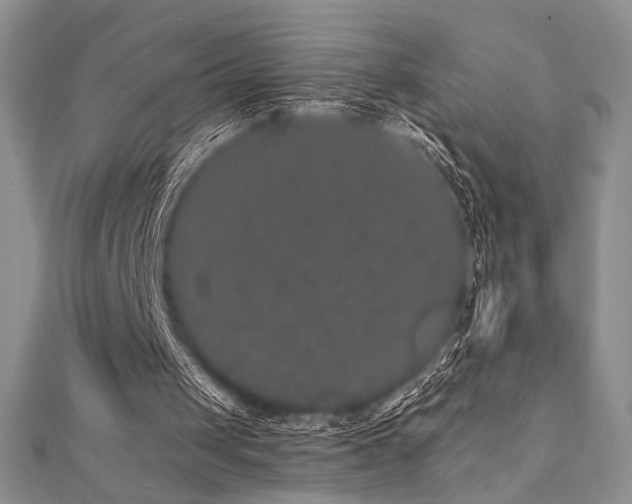 X0000112000049200908031237