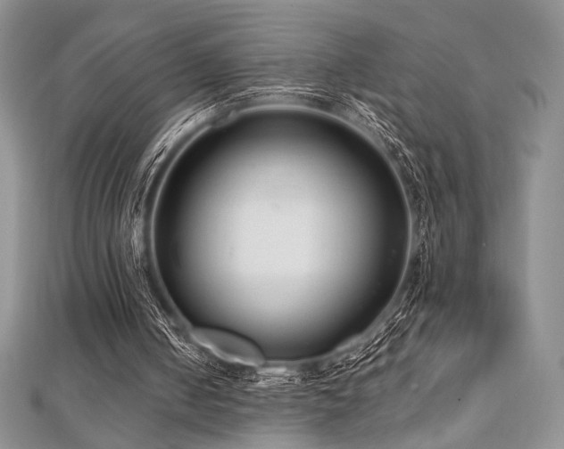 X0000112000050200908031237