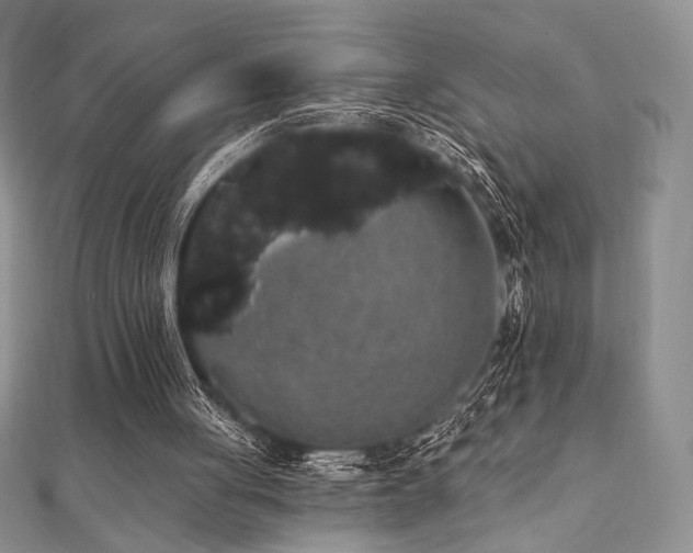 X0000112000051200908031237