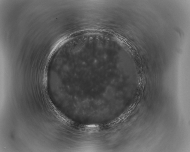 X0000112000053200908031237