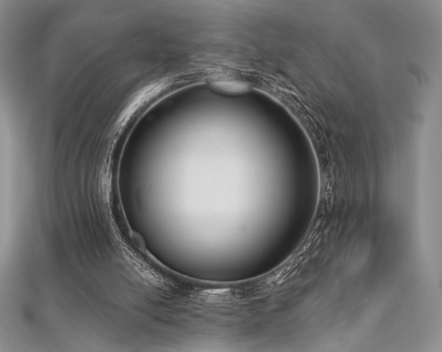 X0000112000054200908031237