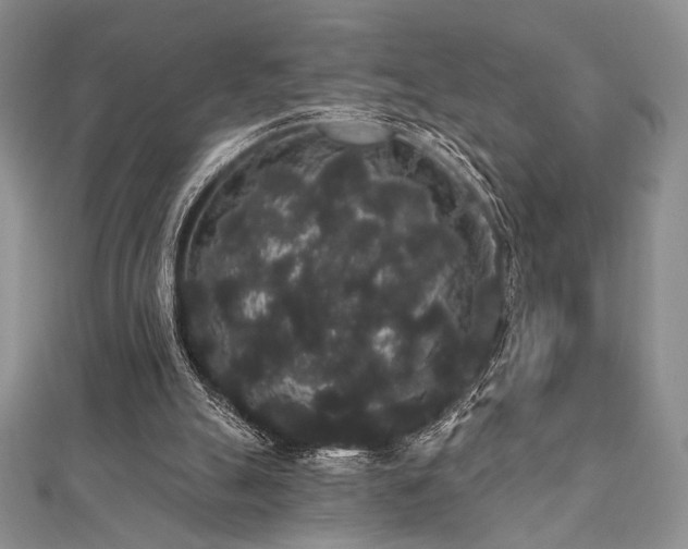 X0000112000055200908031237