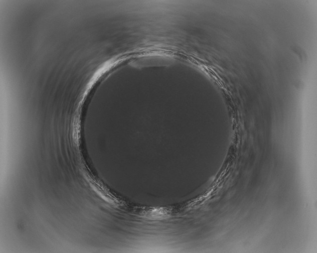 X0000112000056200908031237