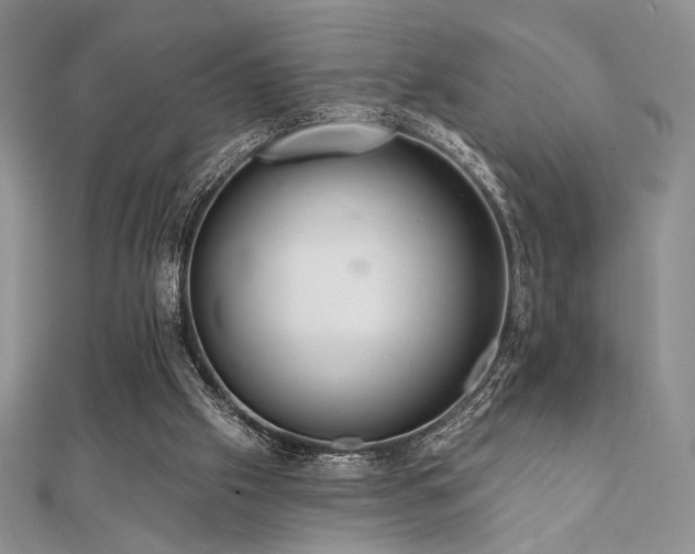 X0000112000057200908031237