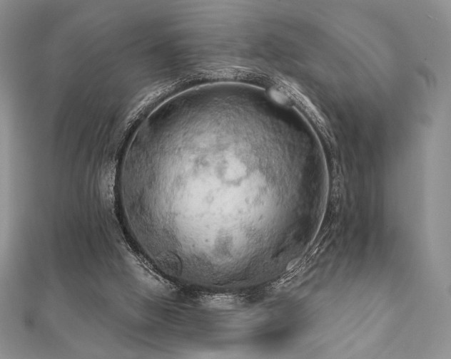 X0000112000058200908031237