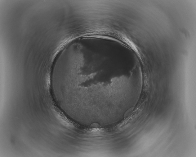 X0000112000059200908031237