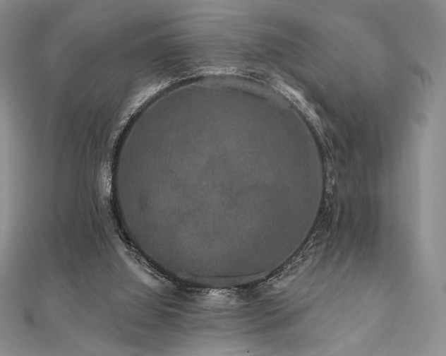 X0000112000060200908031237