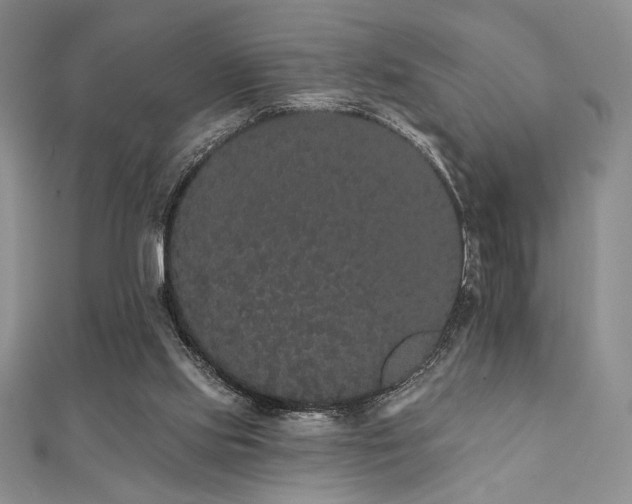 X0000112000061200908031237