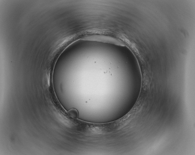 X0000112000062200908031237