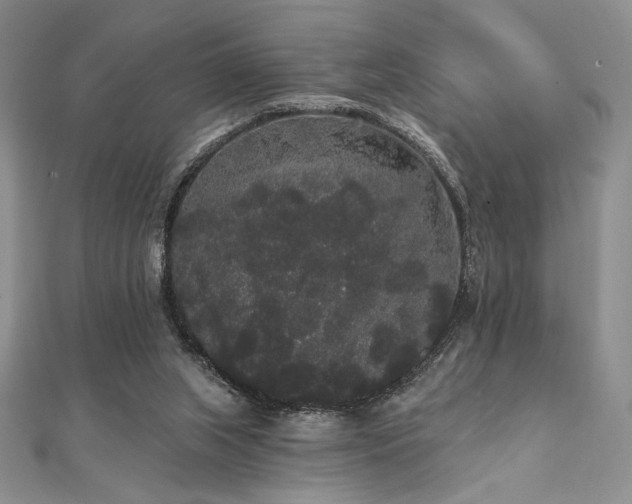 X0000112000063200908031237