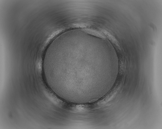 X0000112000064200908031237