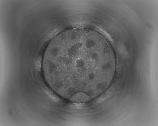 X0000112000065200908031237