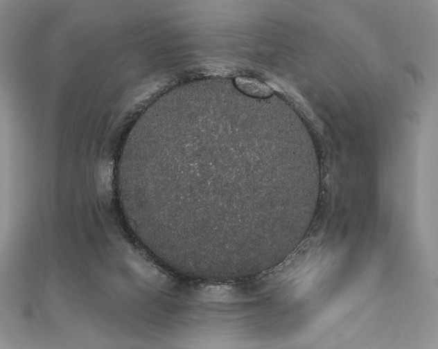 X0000112000066200908031237