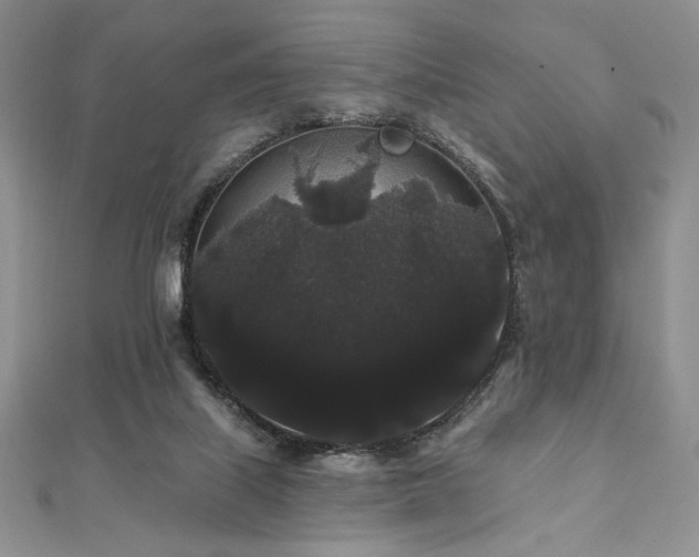 X0000112000067200908031237