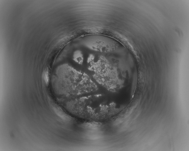 X0000112000069200908031237