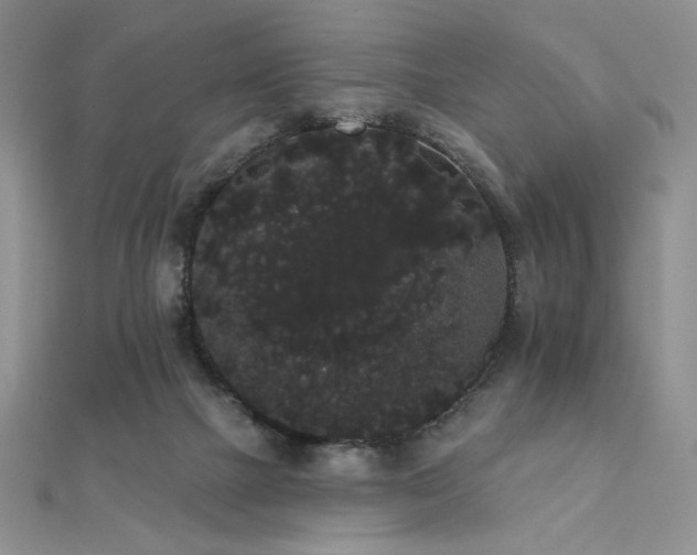 X0000112000073200908031237