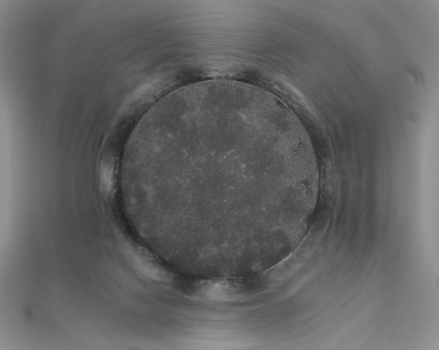 X0000112000074200908031237