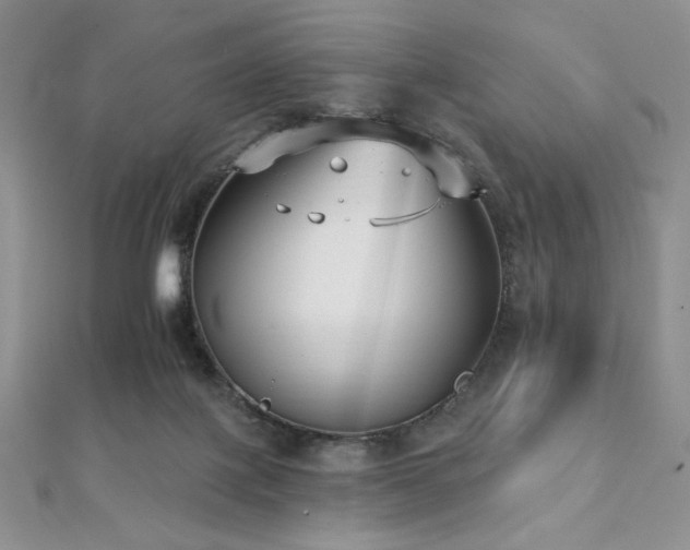 X0000112000075200908031237