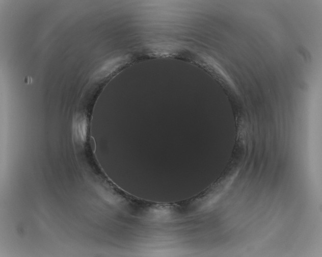 X0000112000076200908031237