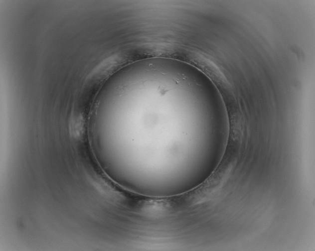 X0000112000077200908031237