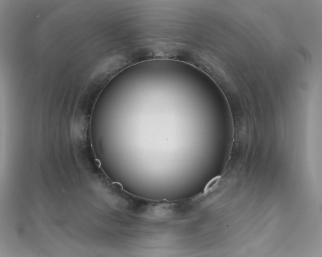 X0000112000078200908031237