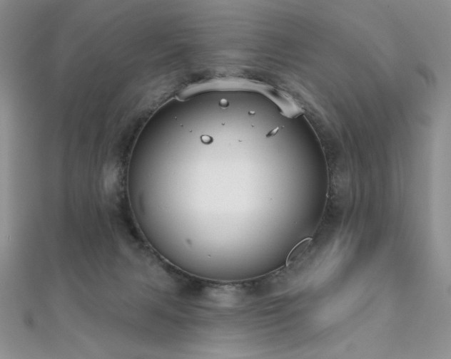 X0000112000079200908031237