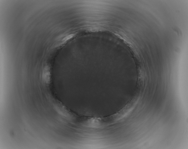 X0000112000080200908031237