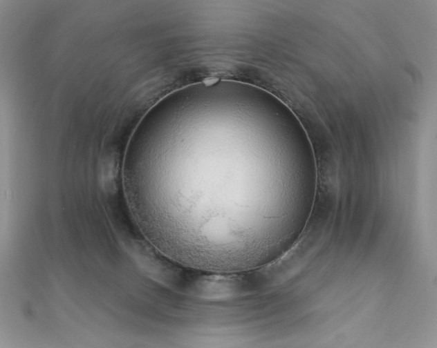 X0000112000082200908031237