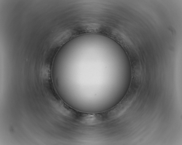 X0000112000083200908031237