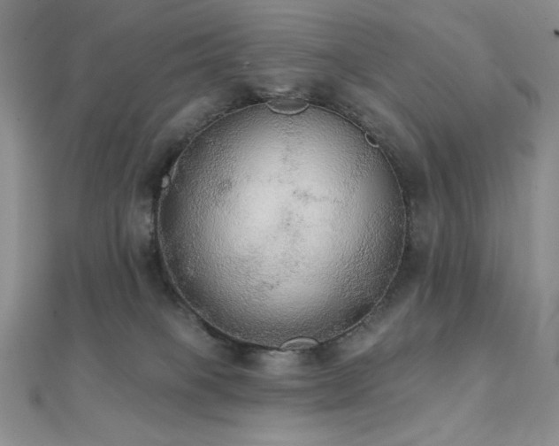 X0000112000085200908031237