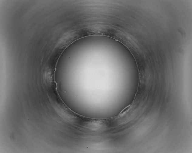 X0000112000086200908031237