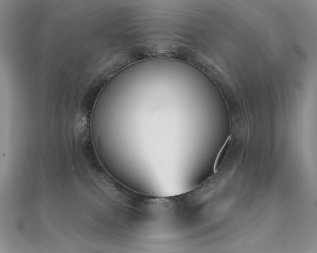 X0000112000087200908031237