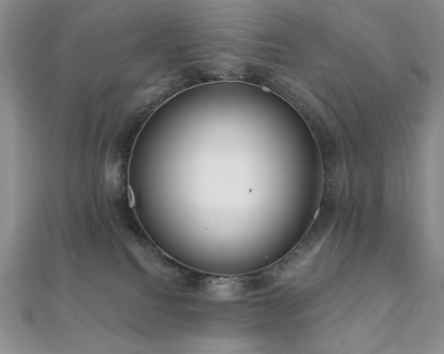 X0000112000088200908031237