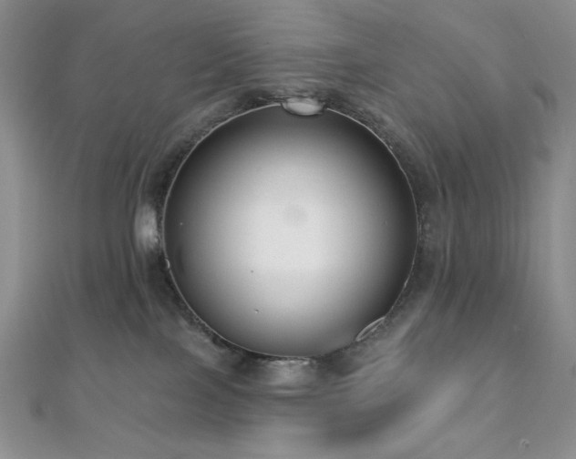 X0000112000089200908031237