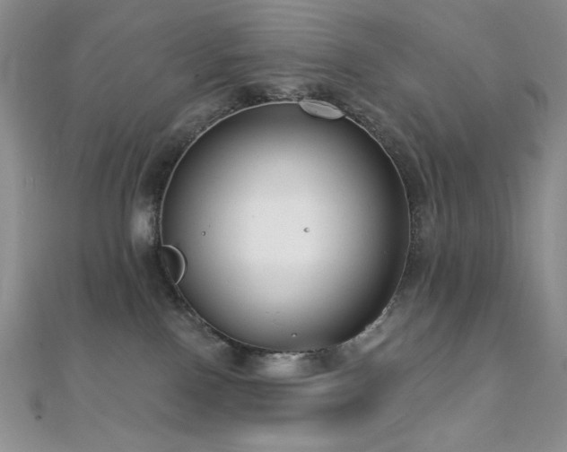 X0000112000090200908031237