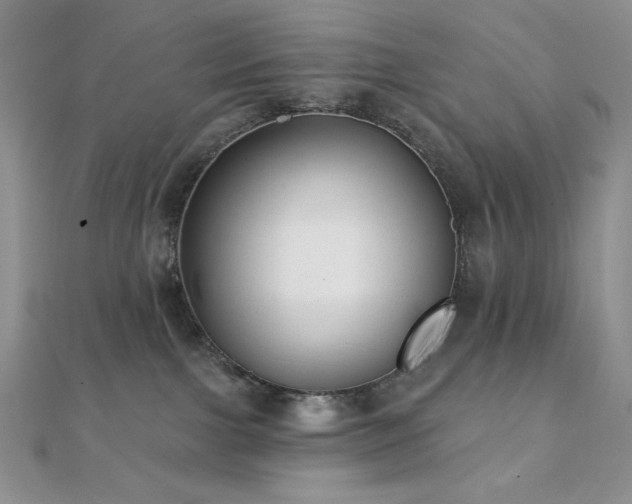 X0000112000091200908031237