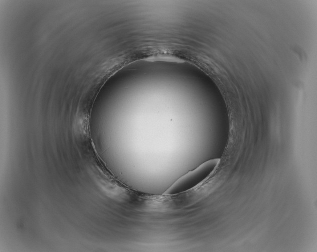 X0000112000096200908031237