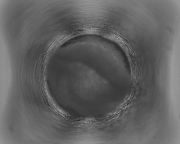 X0000112000097200908031237