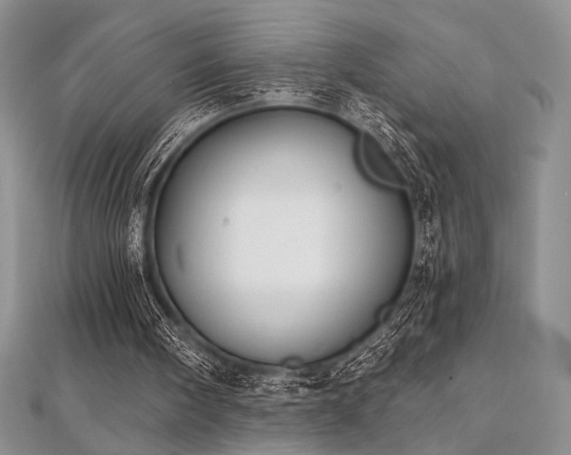 X0000112000098200908031237