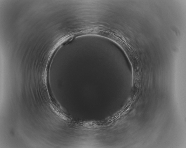 X0000112000100200908031237