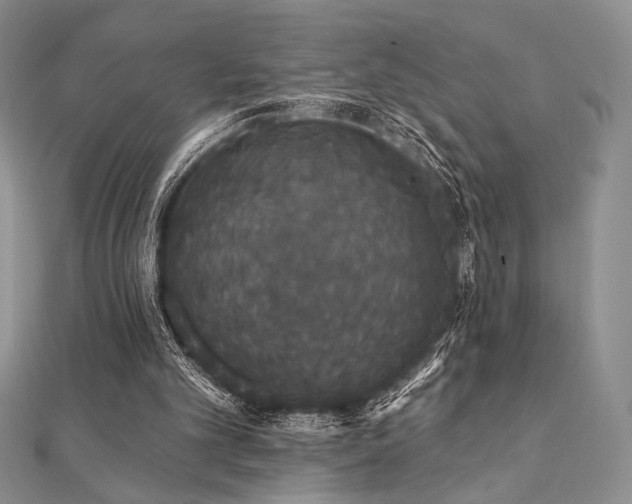 X0000112000101200908031237