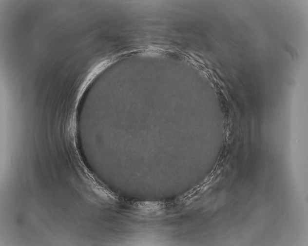 X0000112000102200908031237