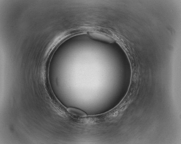 X0000112000103200908031237