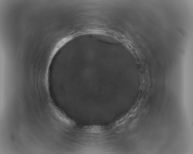 X0000112000104200908031237